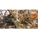 Immagine: Dalle ramaglie a fini energetici a nuove misure per la raccolta differenziata. Approvate al Senato le modifiche al codice ambientale