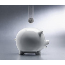 Immagine: Efficienza energetica: detrazione del 55% verso la proroga al 2020?