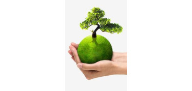 Rinnovabili e rifiuti: più sostenibili i comportamenti degli italiani