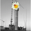 Immagine: Inceneritore di Parma. Gcr dopo la vittoria di Pizzarotti: 