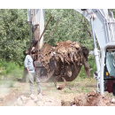 Immagine: Comitato Riprendiamoci Il Futuro: 