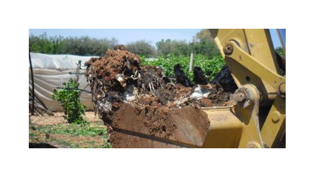 Immagine: Conversano, Contrada Martucci, seconda giornata di scavi