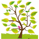 Immagine: “A scuola camminando”: più di 32 mila km percorsi nella VII edizione | Video