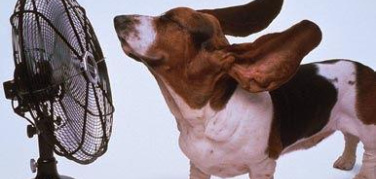 Condizionatori a Torino, la nuova circolare: “Si accenderanno solo quando la temperatura interna toccherà i 28°”