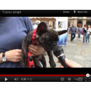 Immagine: Proposte per una Torino smart... | video