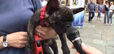 Proposte per una Torino smart... | video