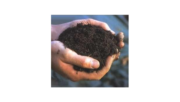 Immagine: Puglia, raccolta dell'umido. Chiude un impianto. A rischio la continuità del servizio