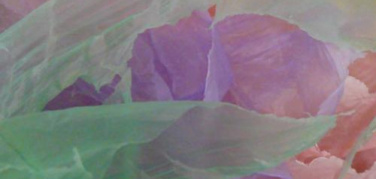 Sacchetti, AssoEcoPlast: “Più del 70% della bioplastica in Italia finisce in discarica: è un gigante con i piedi d'argilla”