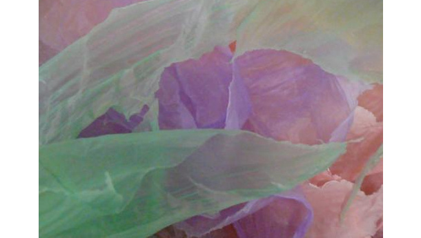 Immagine: Sacchetti, AssoEcoPlast: “Più del 70% della bioplastica in Italia finisce in discarica: è un gigante con i piedi d'argilla”