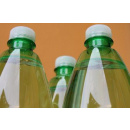 Immagine: Lecce: per le scuole una coppa campioni per la plastica