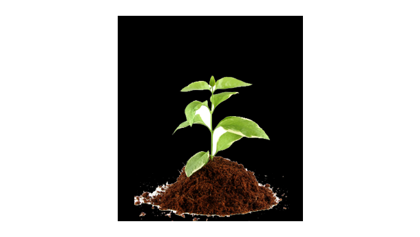 Immagine: Assobioplastiche, siglato un accordo con i colleghi Thailandesi