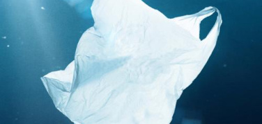 Polieco, il convegno 