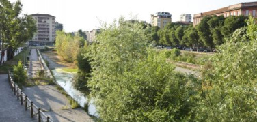 Sull'oasi in Darsena decidano i milanesi