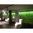 Immagine: Alternative ecologiche all'aria condizionata: intervista all'esperto Davide Bazzini