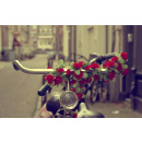 Immagine: Settimana Europea della Mobilità a Torino, dal 16 al 22 settembre 2012