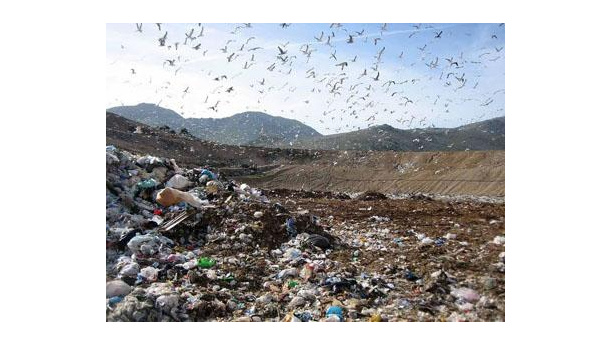 Immagine: Monti dell'Ortaccio, progetto in Regione. Parlati (Legambiente): 