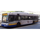 Immagine: Passeggeri soddisfatti per il taglio delle corse di bus e tram, dicono Comune di Torino e GTT