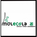 Immagine: Torino: Legambiente ironizza sui tagli alle corse 