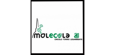 Torino: Legambiente ironizza sui tagli alle corse 