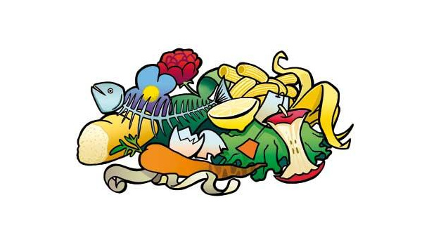 Immagine: Il CIC compie vent'anni e fa il punto sulla raccolta dell'umido