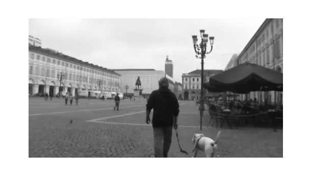 Immagine: Giornata Nazionale del Camminare a Torino | video