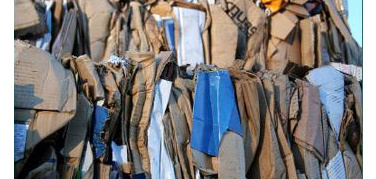 Raccolta differenziata di carta e cartone: Comieco promuove il Club dei comuni Ecocampioni della Campania