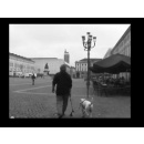 Immagine: Giornata del Camminare: tutti i video