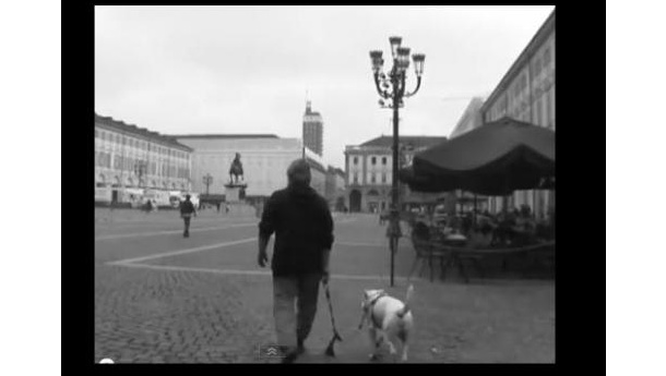 Immagine: Giornata del Camminare: tutti i video