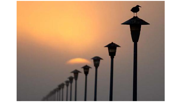 Immagine: Cieli bui, i commenti. Insorgono i difensori dei lampioni