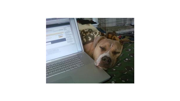 Immagine: Telelavoro: l'esperimento del Comune di Torino