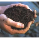 Immagine: Bari, al palo la raccolta dell'organico. La Tersan scrive all'Amiu: 