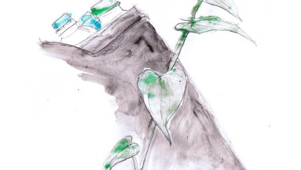 Immagine: Sacchetti vietati, intervista a Maestrini: