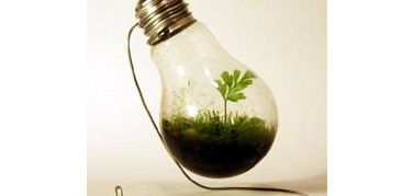 Illuminazione efficiente: l'Onu apre un Centro globale a supporto dei paesi emergenti