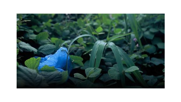 Immagine: Sacchetti, protesta di Assoecoplast a Roma mercoledì 7 novembre: 