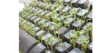 Storie di giornalismo ambientale a Ecomondo 2012