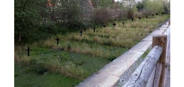 Salviamo l'oasi: presidio sabato 17 novembre alla Darsena di Milano