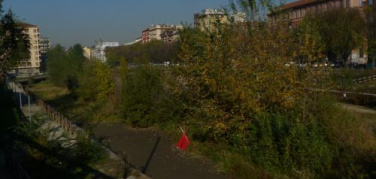 Darsena Pioniera: il Consiglio di Zona6 vota per salvare l'Oasi