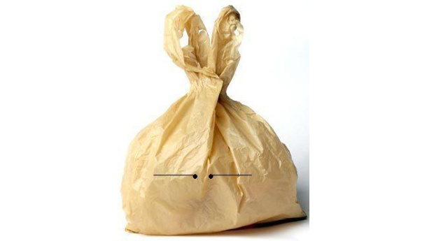 Immagine: Assobioplastiche: