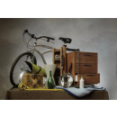 Immagine: Sondaggio Ipsos  Pagnoncelli su italiani e ambiente nel 15 esimo del Conai. Scheda con i risultati e videointerviste