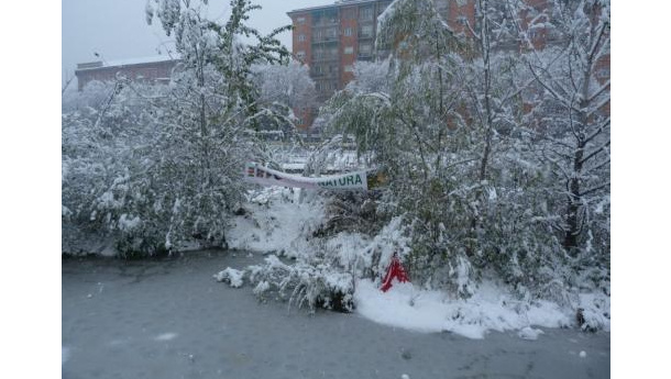 Immagine: Neve a Milano: l'oasi della darsena | Video