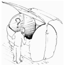 Immagine: Raccolta differenziata: nel segno della qualità. Gli articoli di Eco dalle Città sui dati 2011