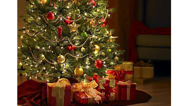 Immagine: Ama: al via domani la raccolta straordinaria degli alberi di Natale