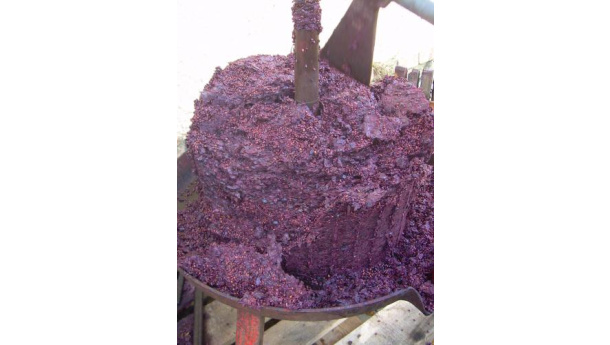 Immagine: Foggia, incenerimento biomasse. Legambiente: “Assalto al territorio e intimidazioni giudiziarie