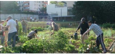 Orti urbani a rischio contaminazione da smog