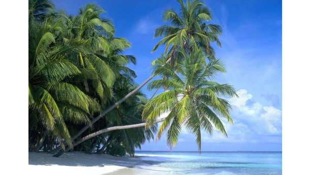 Immagine: Bicocca e Caritas per una Maldive sostenibile