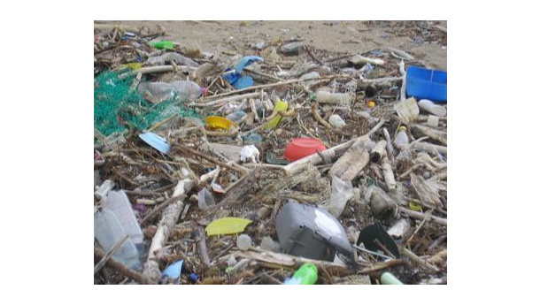 Immagine: Fare Verde: l’associazione domenica 27 apre la caccia … ai rifiuti del mare