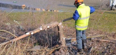 Darsena di Milano: le motoseghe abbattono alberi e cespugli dell'oasi. Rassegna stampa, commenti e dichiarazioni