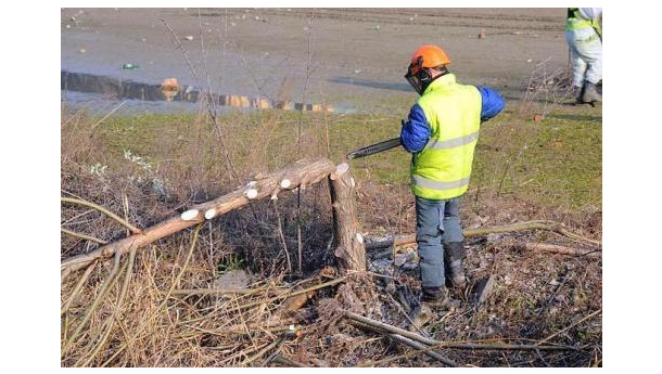 Immagine: Darsena di Milano: le motoseghe abbattono alberi e cespugli dell'oasi. Rassegna stampa, commenti e dichiarazioni