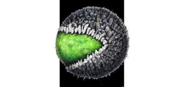 Consumo di suolo in Italia: raddoppiato dal 1956. Lombardia maglia nera con oltre il 10%