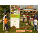 Immagine: Community garden, prima esperienza a Borgo San Paolo